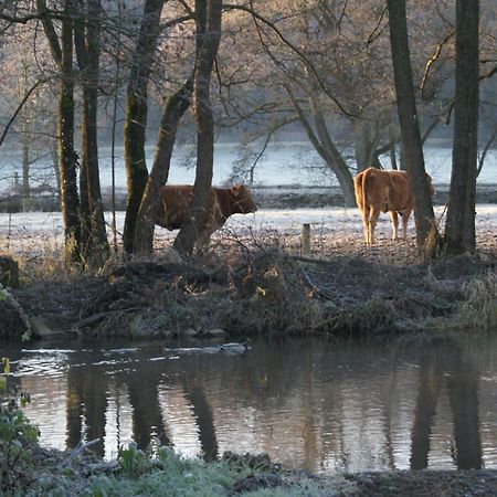 Le Gite De L Ourthe Ortheuville 외부 사진