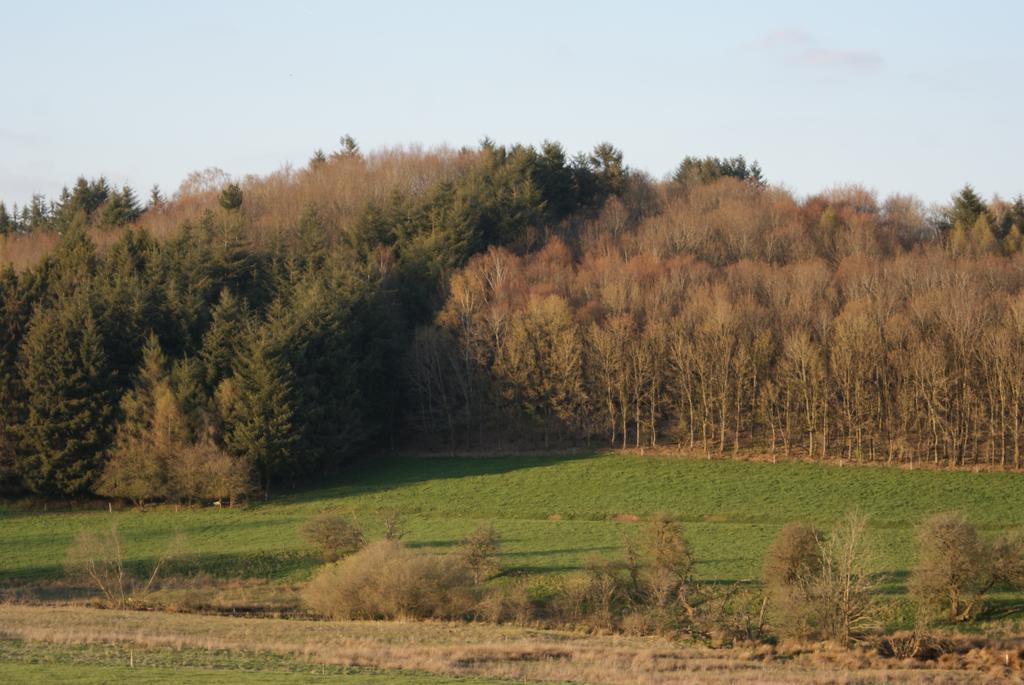 Le Gite De L Ourthe Ortheuville 외부 사진