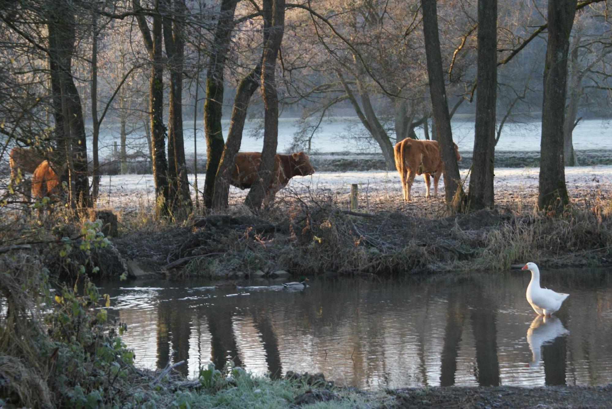 Le Gite De L Ourthe Ortheuville 외부 사진