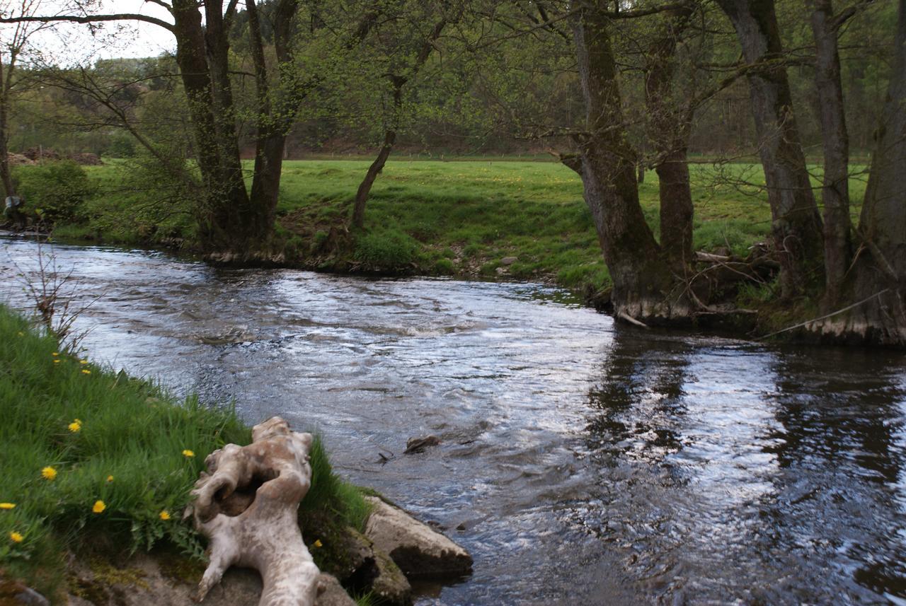 Ortheuville Le Gite De L Ourthe 빌라 외부 사진