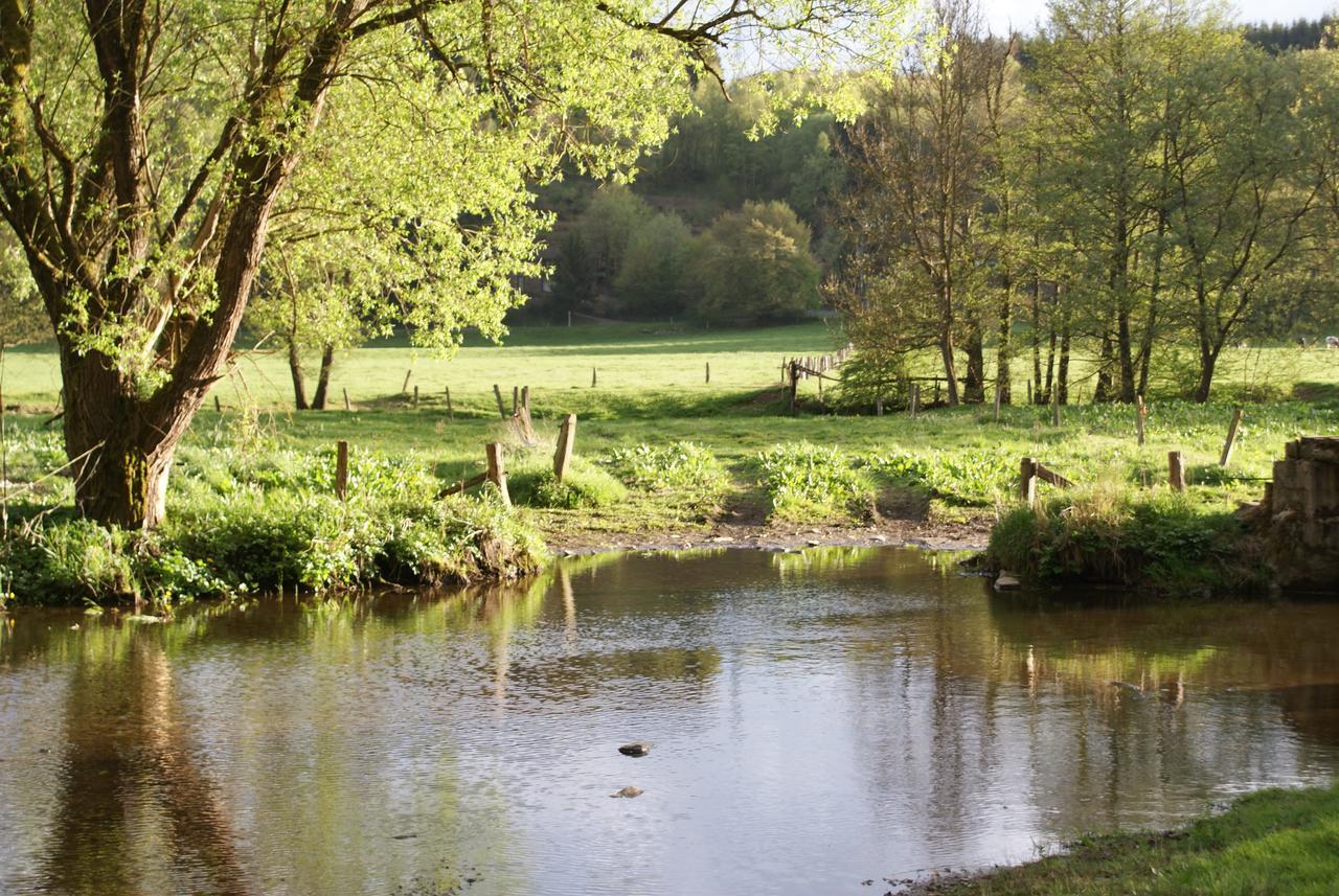 Le Gite De L Ourthe Ortheuville 외부 사진