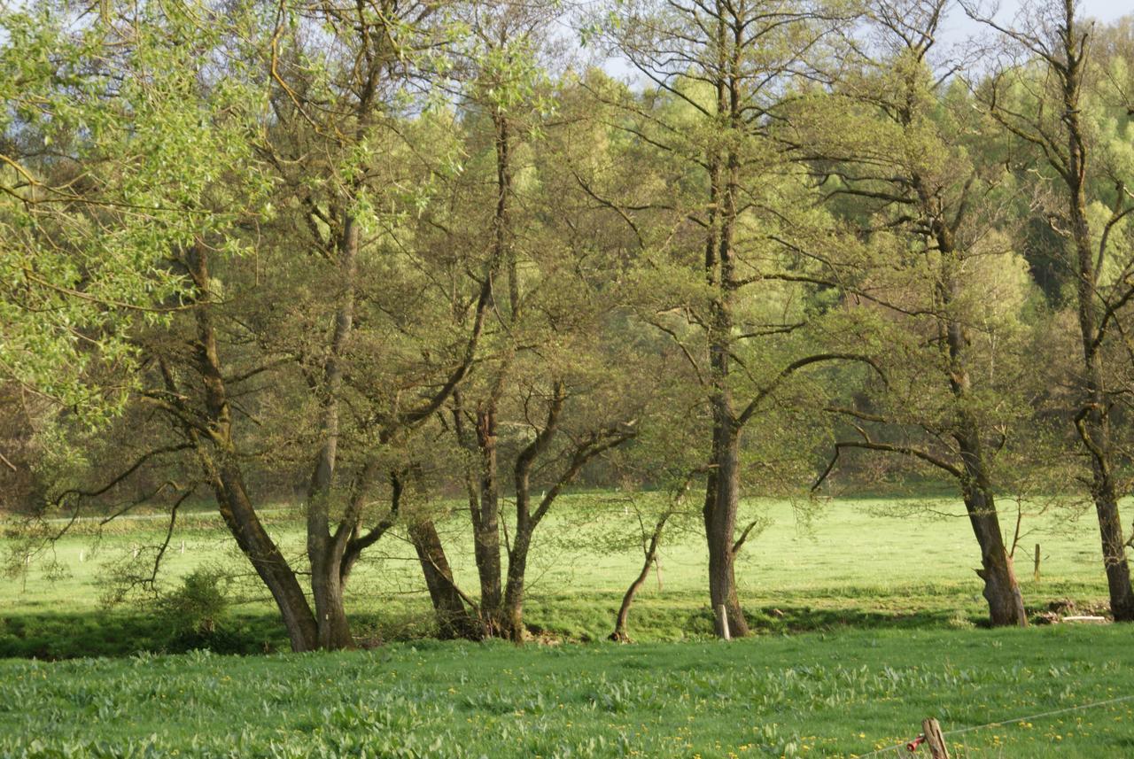 Ortheuville Le Gite De L Ourthe 빌라 외부 사진