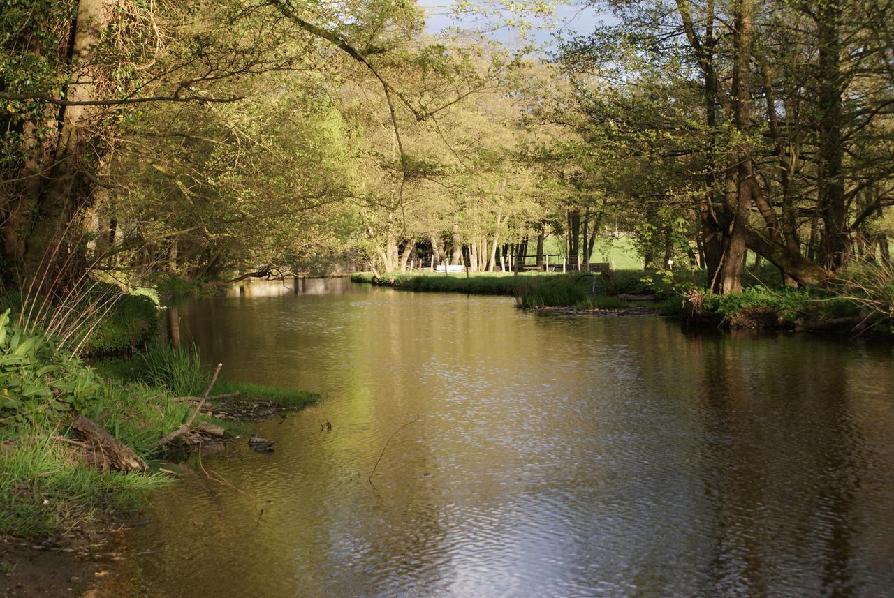 Ortheuville Le Gite De L Ourthe 빌라 외부 사진